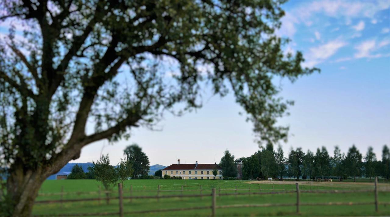 Reiterbauernhof Schoenlehenhof Mank Dış mekan fotoğraf